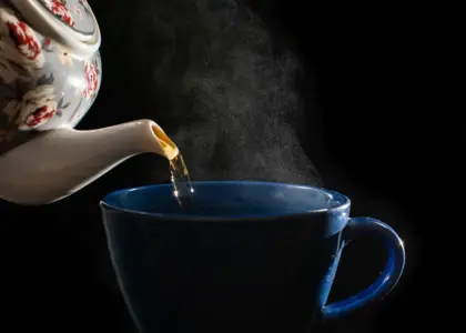 11 tidlige forårsløg, der trives i krukker