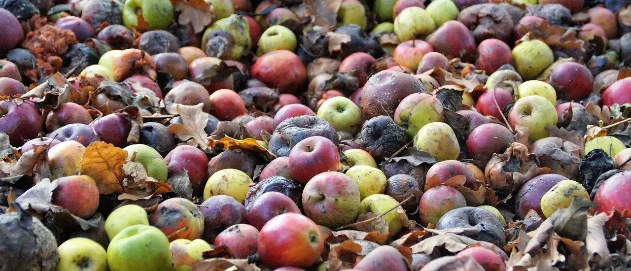 5 fejl der ødelægger komposten i haven