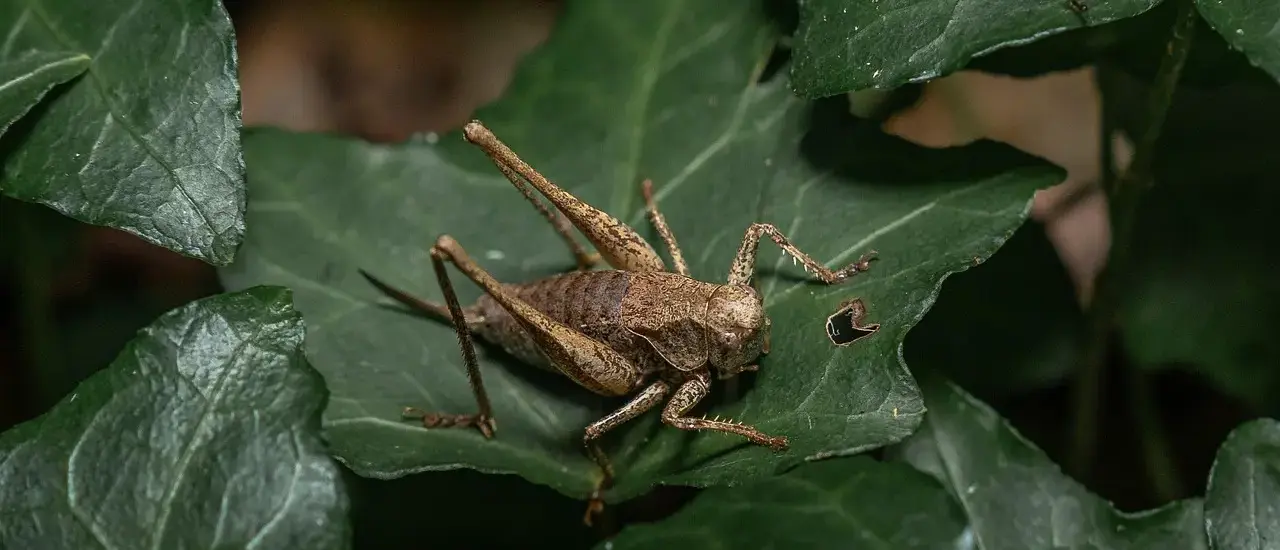 5 solide løsninger med stolpefødder til terrasserækværk