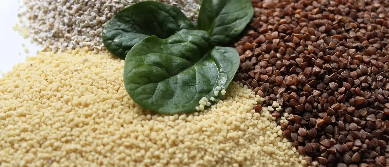 8 hurtige grøngødningsplanter til køkkenhaven