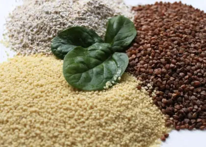 8 hurtige grøngødningsplanter til køkkenhaven