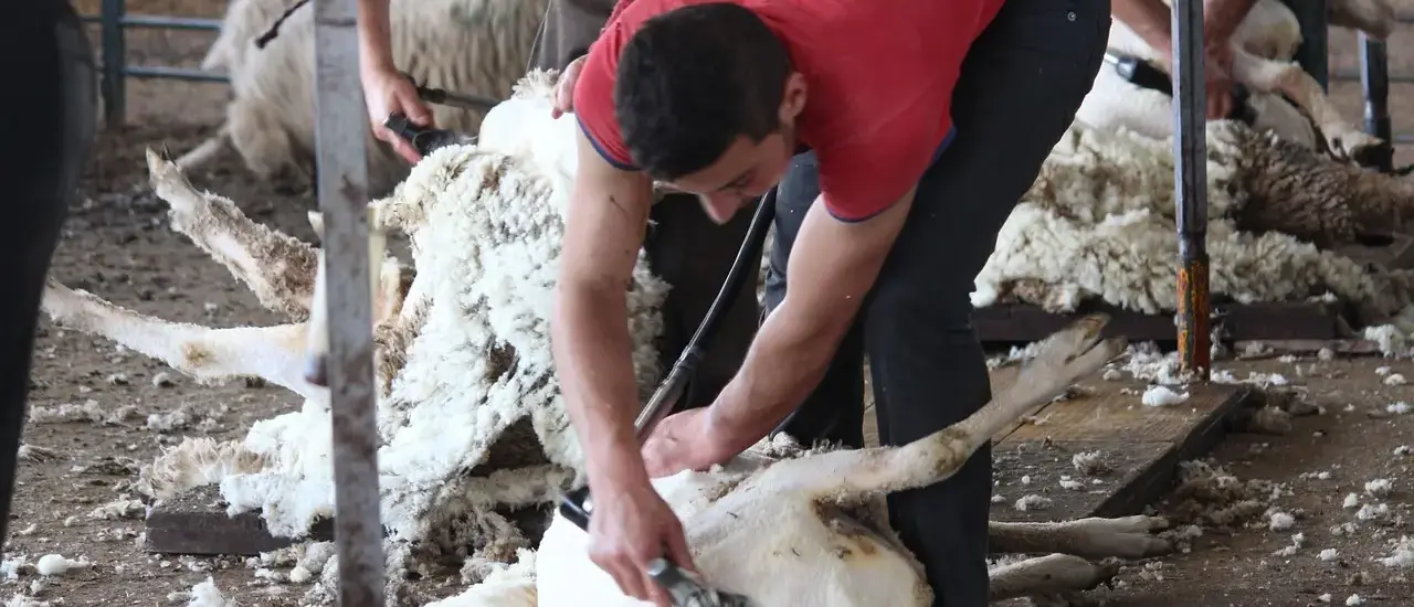 9 trin til skarpe græskanter langs bedene