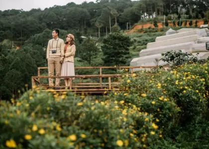 Hvad koster en træterrasse? Den komplette prisguide med materialer, arbejdskraft og sparetips