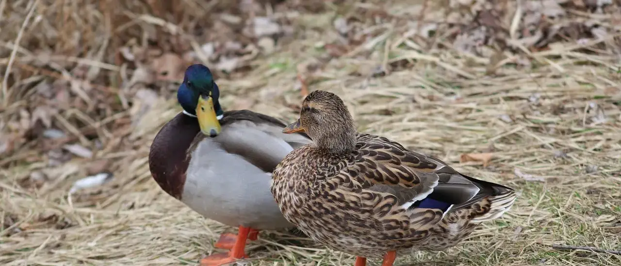 Løsningsliste til Tal Krydsord