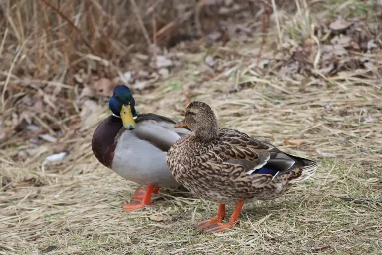 Løsningsliste til Tal Krydsord