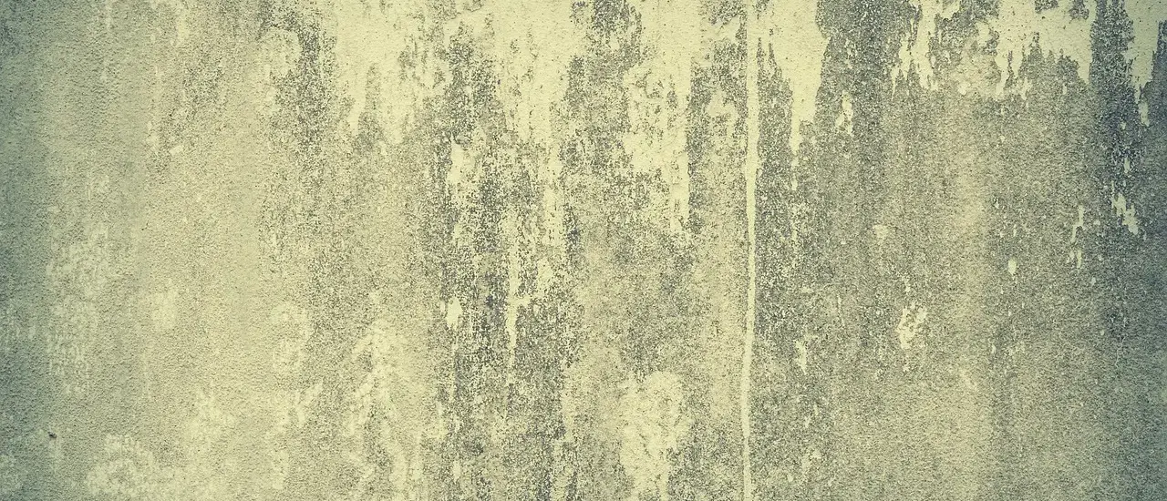 Medvirkende i Dirty Dancing