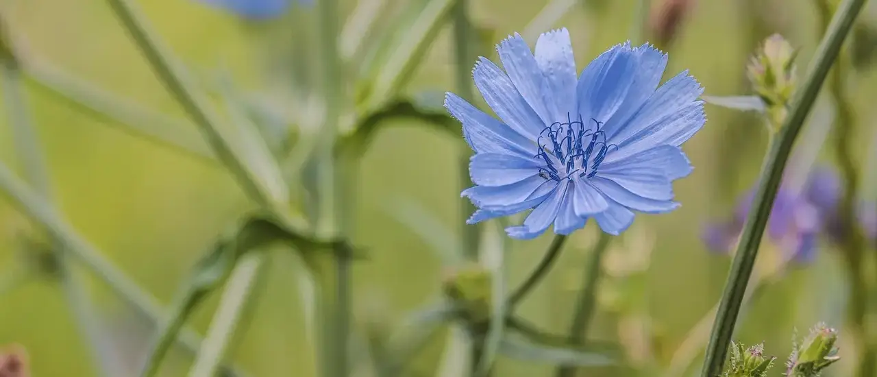 Medvirkende i Mean Girls 2