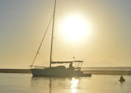 Medvirkende i The Patriot