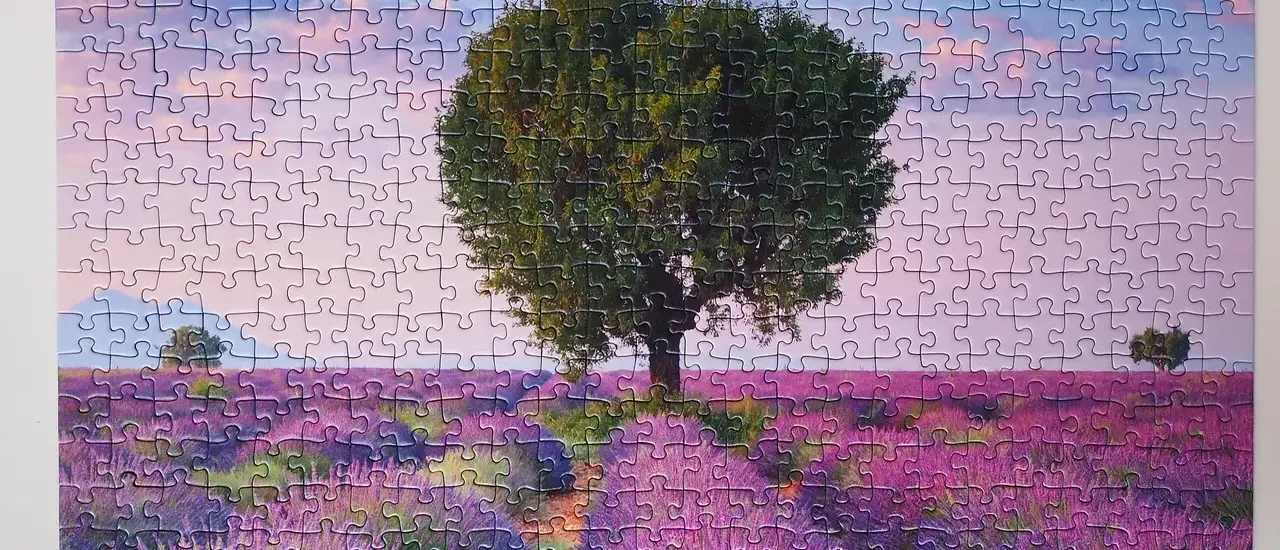 Optimal placering af router og mesh-system i en betonlejlighed