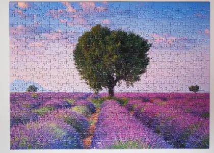 Optimal placering af router og mesh-system i en betonlejlighed