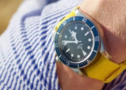 Synomymer til Kongeslægt krydsord